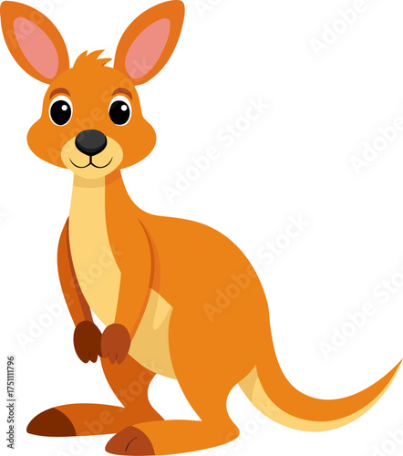 Kangaroo cartoon white background 