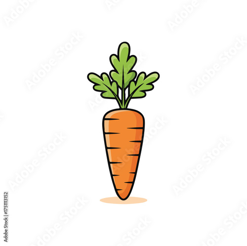 "Hand-Drawn Orange Carrot with Green Leaves – White Background"