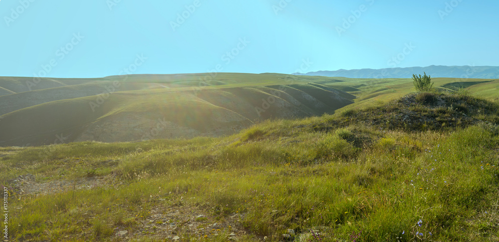 Fototapeta premium Mountain landscape ridges green vegetation and blue sky