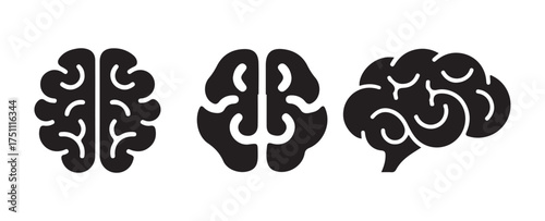 vector illustration of a skull on white