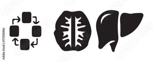 Digital Brain and Data Network Connection Concept with Modern Technology Icons

