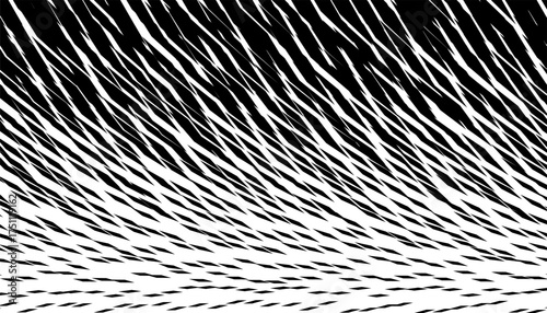 Black and white abstract and grunge pattern for safari background. Vector Format Illustration 