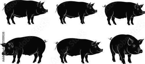 Pig silhouettes farm animals collection, livestock vector design, domestic pig illustration, agriculture concept, rural farming artwork, cad drawing flat vector illustration