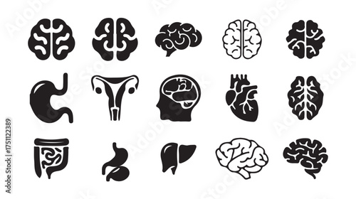 Brain Anatomy and Neuron Structure Icons for Medical and Science Design