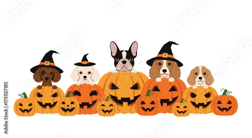 Adorable dogs dressed up for halloween sitting in carved pumpkins and wearing witch hats enjoying autumn festivities.