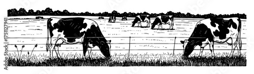 Field Landscape with Dairy Cows Eating Grass Pasture Fence Black and White Outline Line Art Drawing