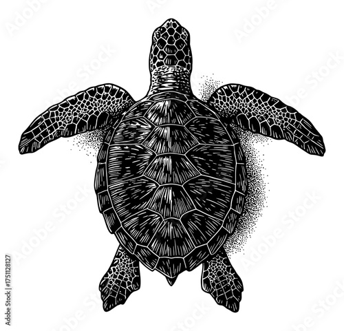 Marine Sea Turtle Top View Engraving Black and White Outline Line Art Drawing Isolated Object