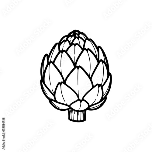 artichoke isolated on white background