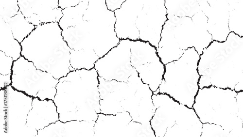 Black lines forming a cracked pattern on a white background.
