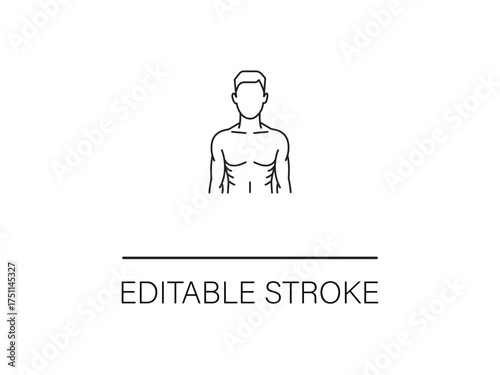 Minimalist line art of a toned male torso with editable stroke for custom designs and medical illustration projects available now.
