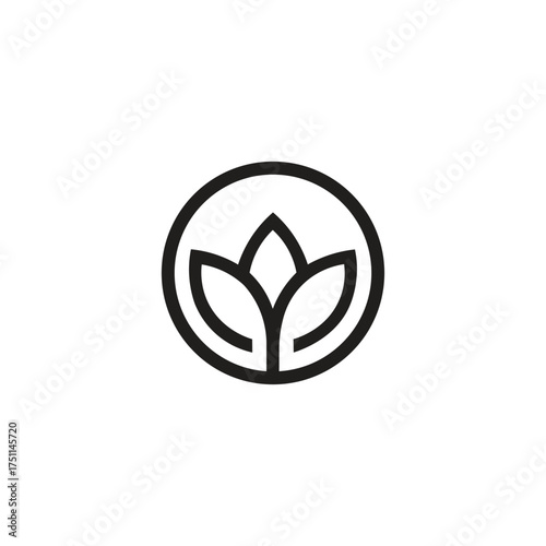 vector illustration of a green leaf