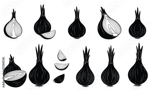 Onion Illustration Collection: A sleek collection of onions in varying states - whole, sliced, and quartered, capturing the essence of freshness and culinary potential.