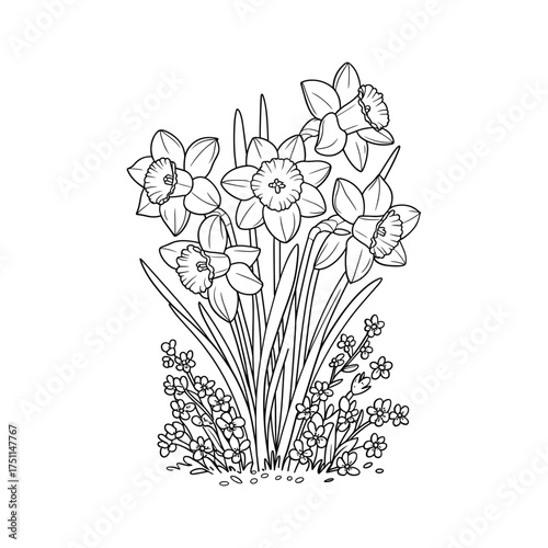 Detailed outline sketch of daffodils and greenery celebrating spring's arrival and floral beauty