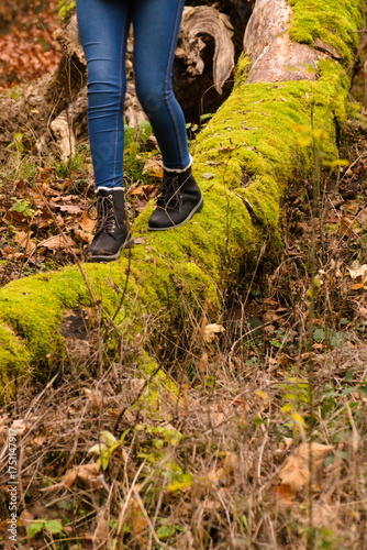 Walking on fallen tree trunk in autumn forest with black boots