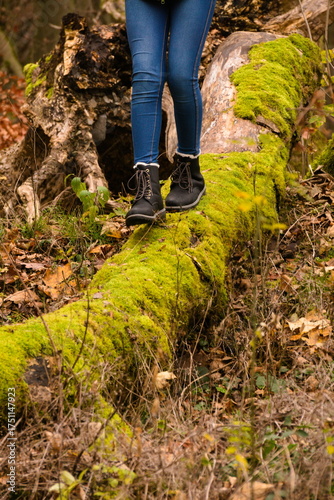 Walking on fallen tree trunk in autumn forest with black boots