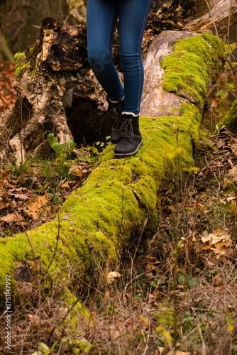 Walking on fallen tree trunk in autumn forest with black boots