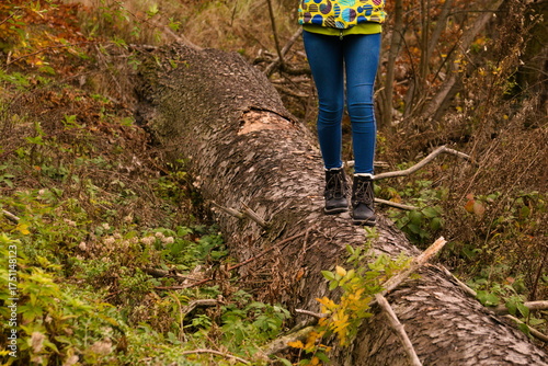 Walking on fallen tree trunk in autumn forest with black boots
