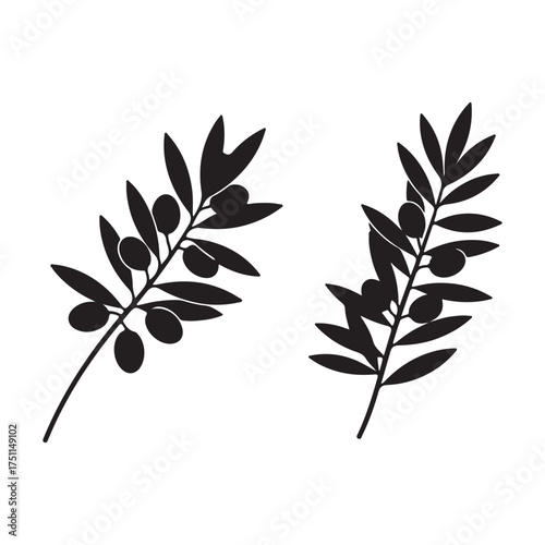 Elegant olive branch vector illustration on a clean white background showcasing natural simplicity and timeless beauty for various design applications
