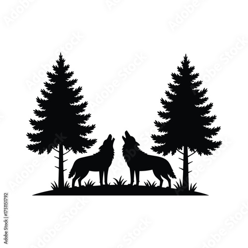 Silhouette of two wolves howling together amidst pine trees in a forest scene