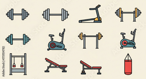 Various gym equipment, including dumbbells, treadmills, exercise bikes, weight benches, and punching bags