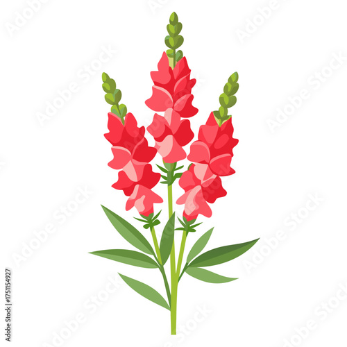 bouquet of red flowers
