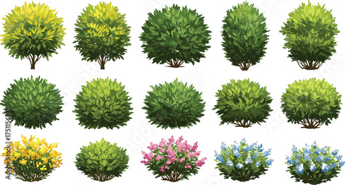 Green garden bushes and colorful flowering shrubs collection, landscape foliage plants for outdoor design, cad drawing flat vector illustration, nature element, greenery design, decorative foliage.