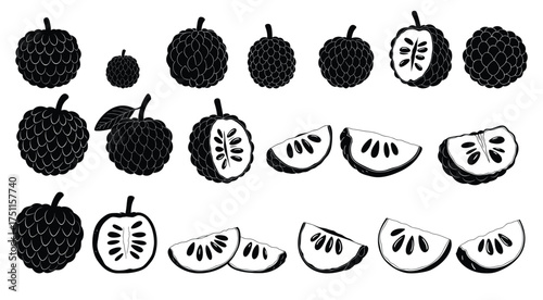Sugar Apple Set Illustration: A collection of sugar apple illustrations. Including whole sugar apples, sliced sugar apples, and sugar apple sections.