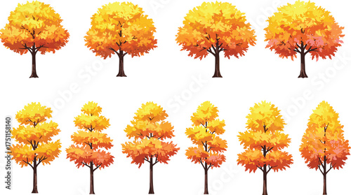 Autumn season trees with orange and yellow leaves, fall landscape nature illustration for park design, cad drawing flat vector illustration