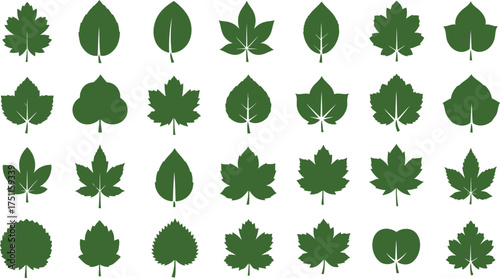 Collection of Green Leaf Silhouettes in Various Shapes