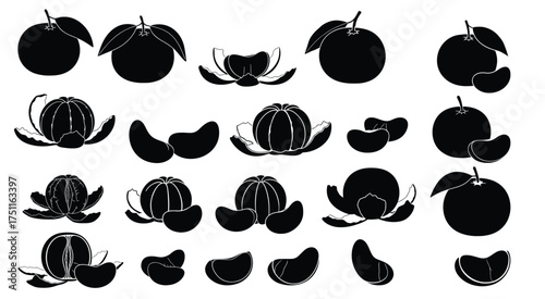 Citrus Composition: Artfully arranged, the image showcases a variety of tangerines, each in its stages, peels, segments, and entire fruit, highlighting the juicy freshness. 