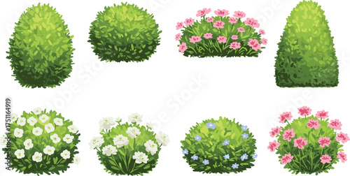 Beautiful green bushes and blooming flower shrubs collection, spring garden plants, nature landscape elements, cad drawing flat vector illustration, foliage design