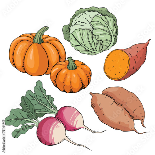 A vibrant vector illustration set of autumn vegetables including pumpkin, tomato, onion, and carrot, perfect for food, harvest, or Thanksgiving concepts
