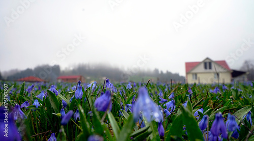 The Black Sea region in eastern Türkiye is famous for its high mountain plateaus, the most popular of which are the Uzungöl and Kadıralak plateaus 20.04.2025, Trabzon,Türkiye