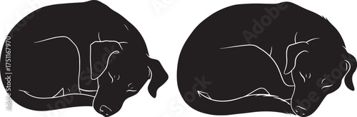 Two abstract human faces in a dark black silhouette against a white background silhouette
