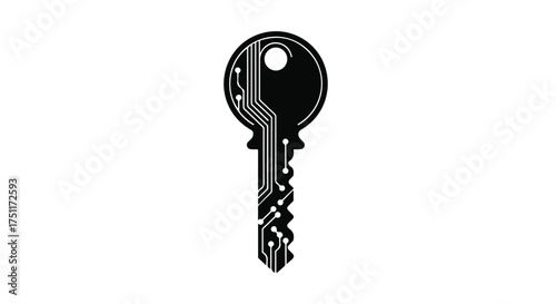 Digital key symbolizing access to technology and secure data