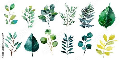 Collection of various green and yellow leaves and plant sprigs isolated on white background