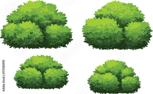 Green bush collection, natural garden shrub set, landscape foliage illustration, eco plant design, environmental nature element, cad drawing flat vector illustration