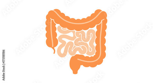 Digestive System Icon Detailed Anatomy Illustration