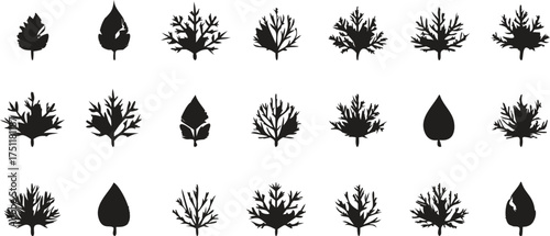 leaf silhouettes set vector illustration of various plant shapes and decorative nature elements