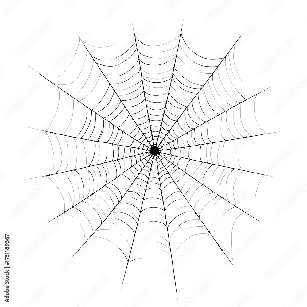 Fototapeta premium Detailed black spider web illustration with radial pattern isolated on white background