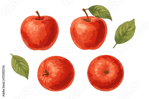 Four whole red apples with stems and fresh green leaves in watercolor style