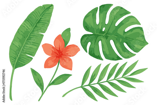 Vibrant collection of tropical foliage elements including banana leaf, monstera, palm frond, and red flower