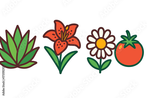 Stylized garden plants set featuring succulent, lily, daisy, and red tomato