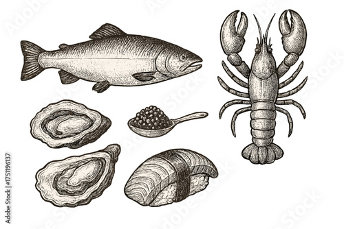 Luxury seafood set in vintage engraving style featuring salmon, lobster, oysters, caviar, and sushi