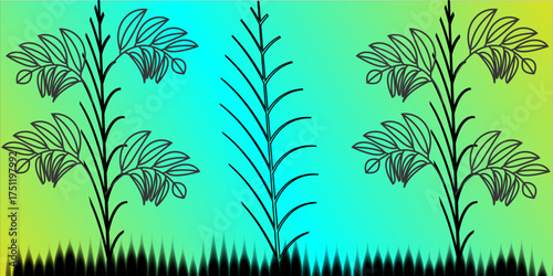 young glow oblanceolate leaves green  yellow full border and lot on the black screen