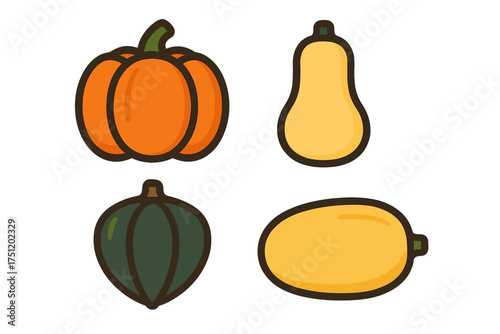Autumn harvest collection of squashes and gourds: pumpkin, butternut, and acorn squash