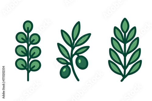 Stylized set of three green botanical sprigs including an olive branch