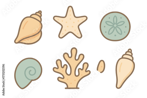 Stylized collection of marine life icons featuring seashells, starfish, sand dollar, and coral