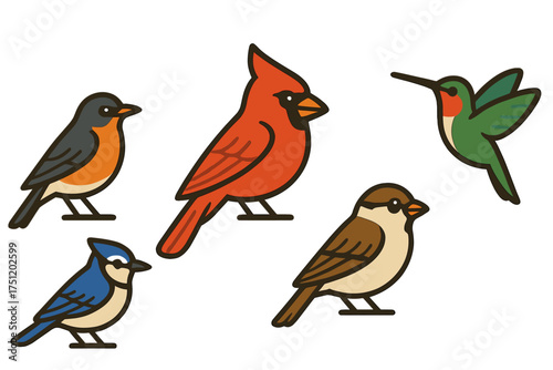 Colorful North American birds: cardinal, blue jay, robin, sparrow, and hummingbird set