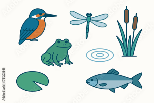 Colorful set of pond and wetland animals and plants: kingfisher, frog, fish, dragonfly, cattails, lily pad